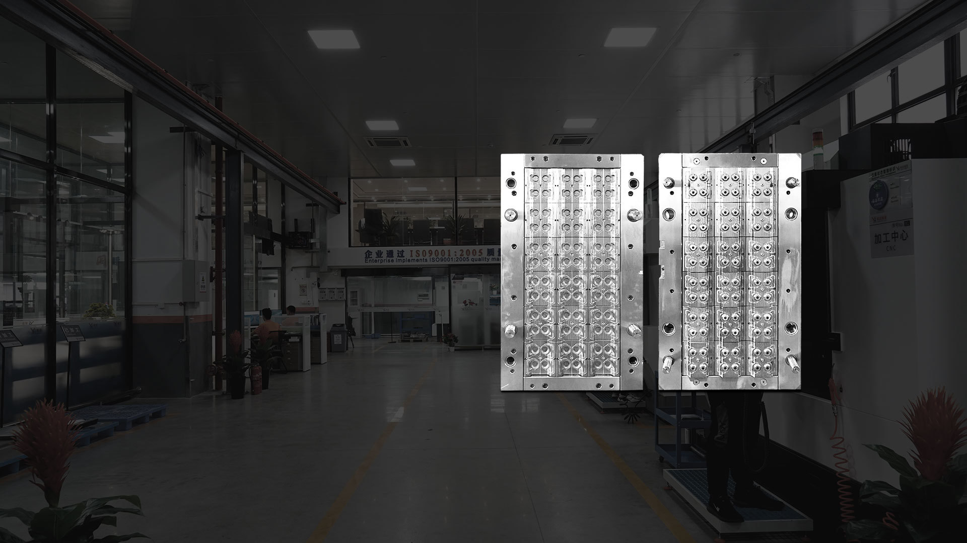 Langjie Precision Mould